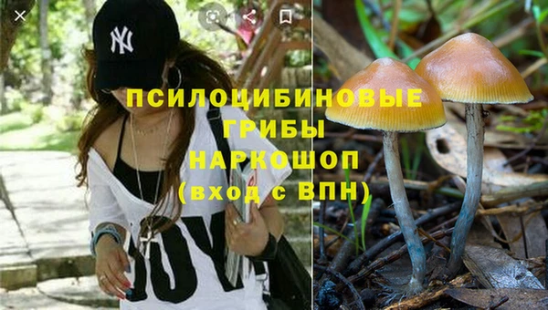 бошки Алексеевка