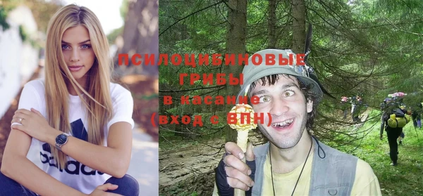 ALPHA-PVP Алексин