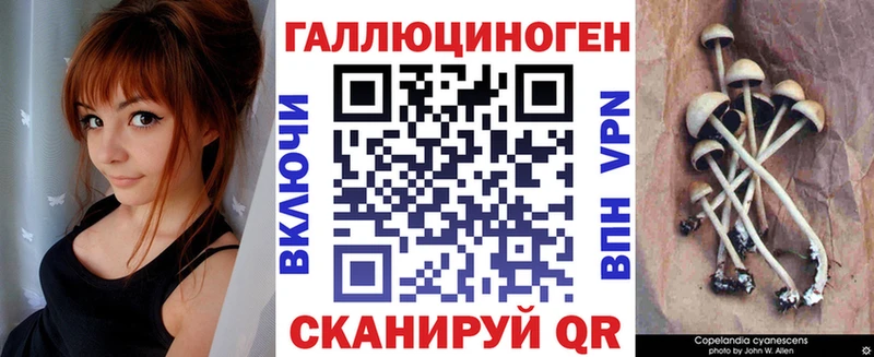 Галлюциногенные грибы Magic Shrooms  Красноярск 