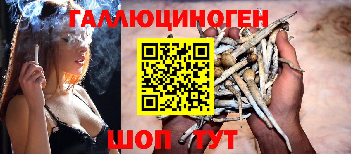 Псилоцибиновые грибы Magic Shrooms  Вход с VPN  Красноярск  Галлюциногенные грибы GOLDEN TEACHER 